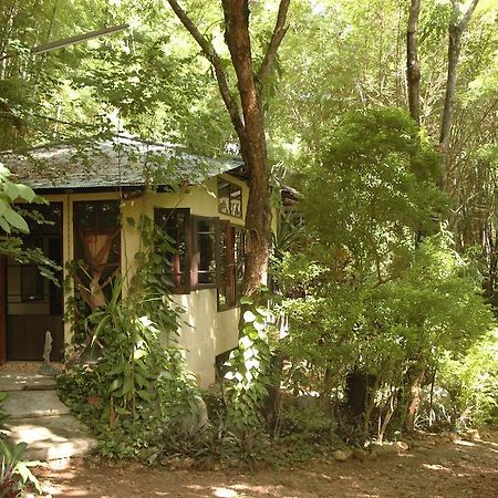 Momchailai Forest Retreat Kanchanaburi Exterior foto